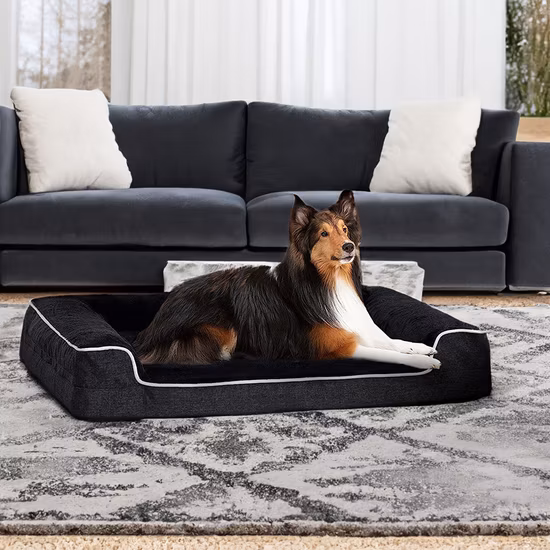 洗える取り外し可能なカバーふわふわペットソファシート犬カーシートベッド